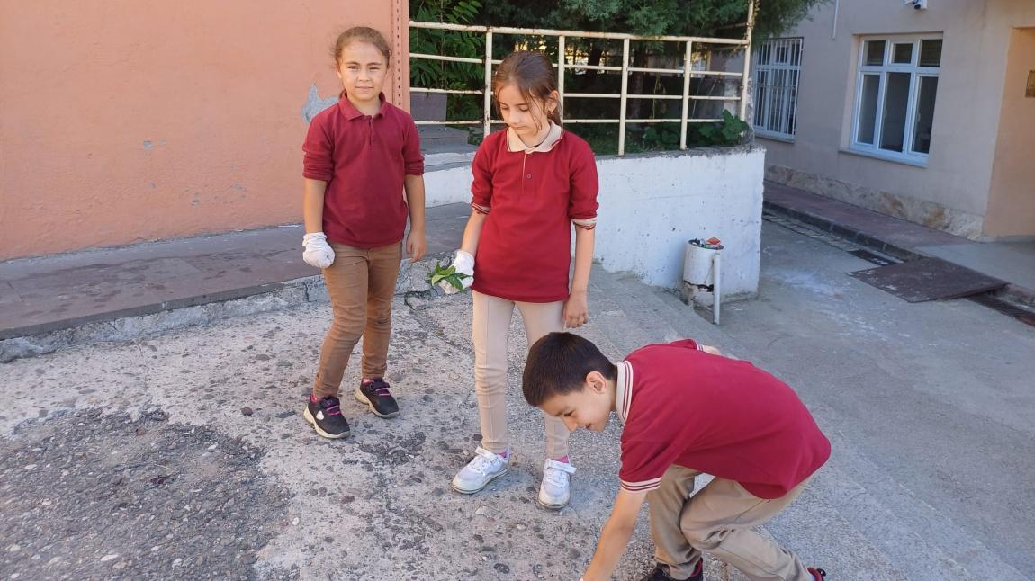 Temiz ve Güzel Bahçem